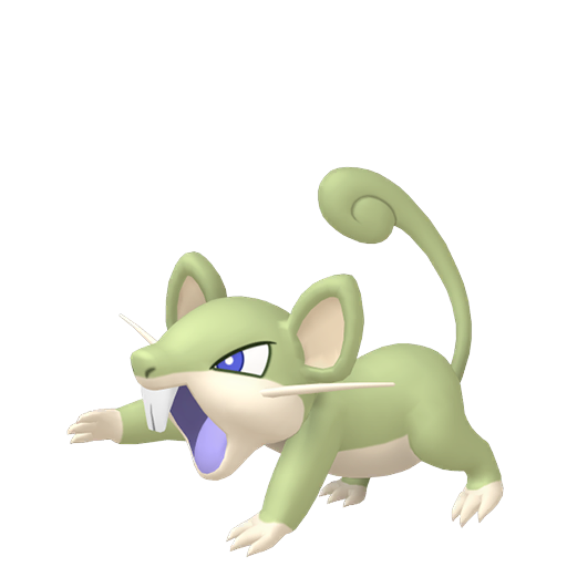 Шайни Rattata